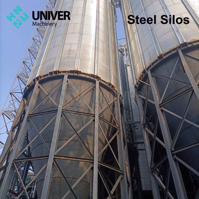 Flat Bottom Steel Feed Silo 3000t for Animal Feed Grain Storage