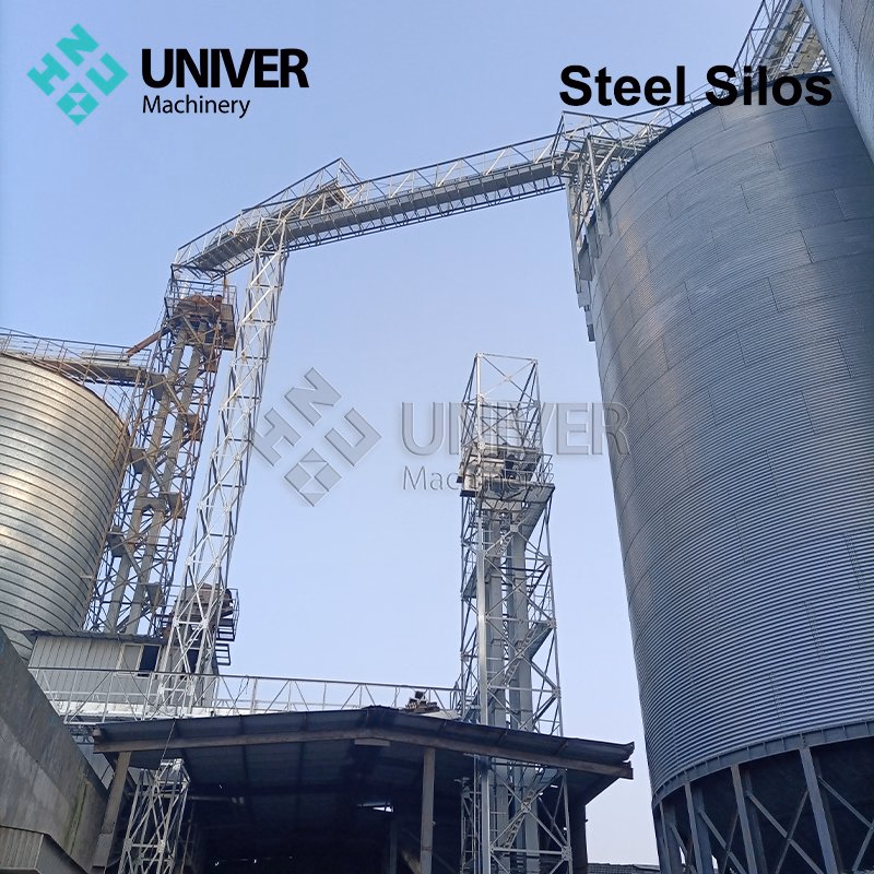Customized Maize Wheat Soya Paddy Storage Grain Steel Silo
