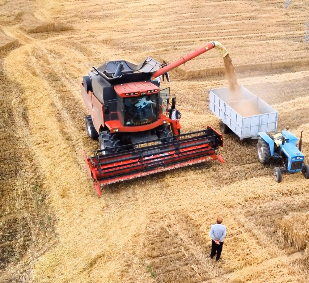 360HP Powerful Combine Harvester for Streamlined Corn Harvesting Processes