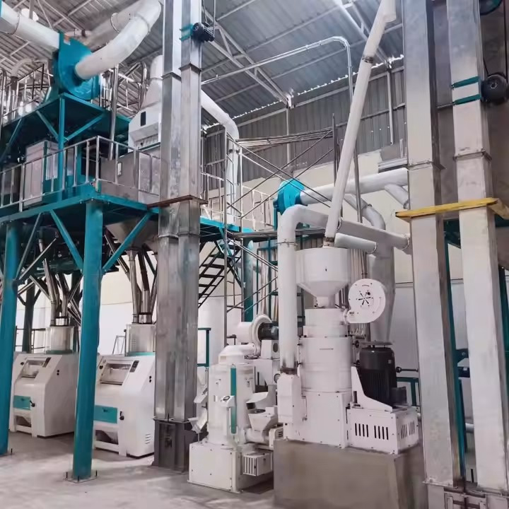Complete 50 Tons Maize Flour Milling Machine Maize Milling Plant Kenya Cost