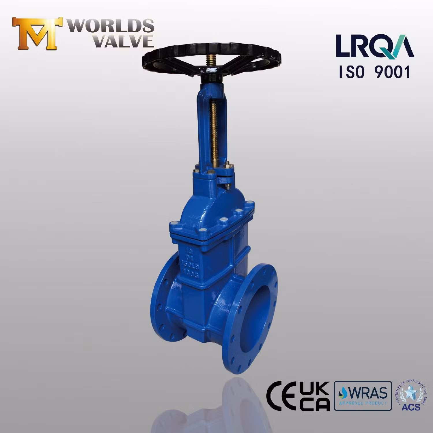 Rising Spindle Resilient Rubber Gate Valve with Ce ISO Wras Acs Approved