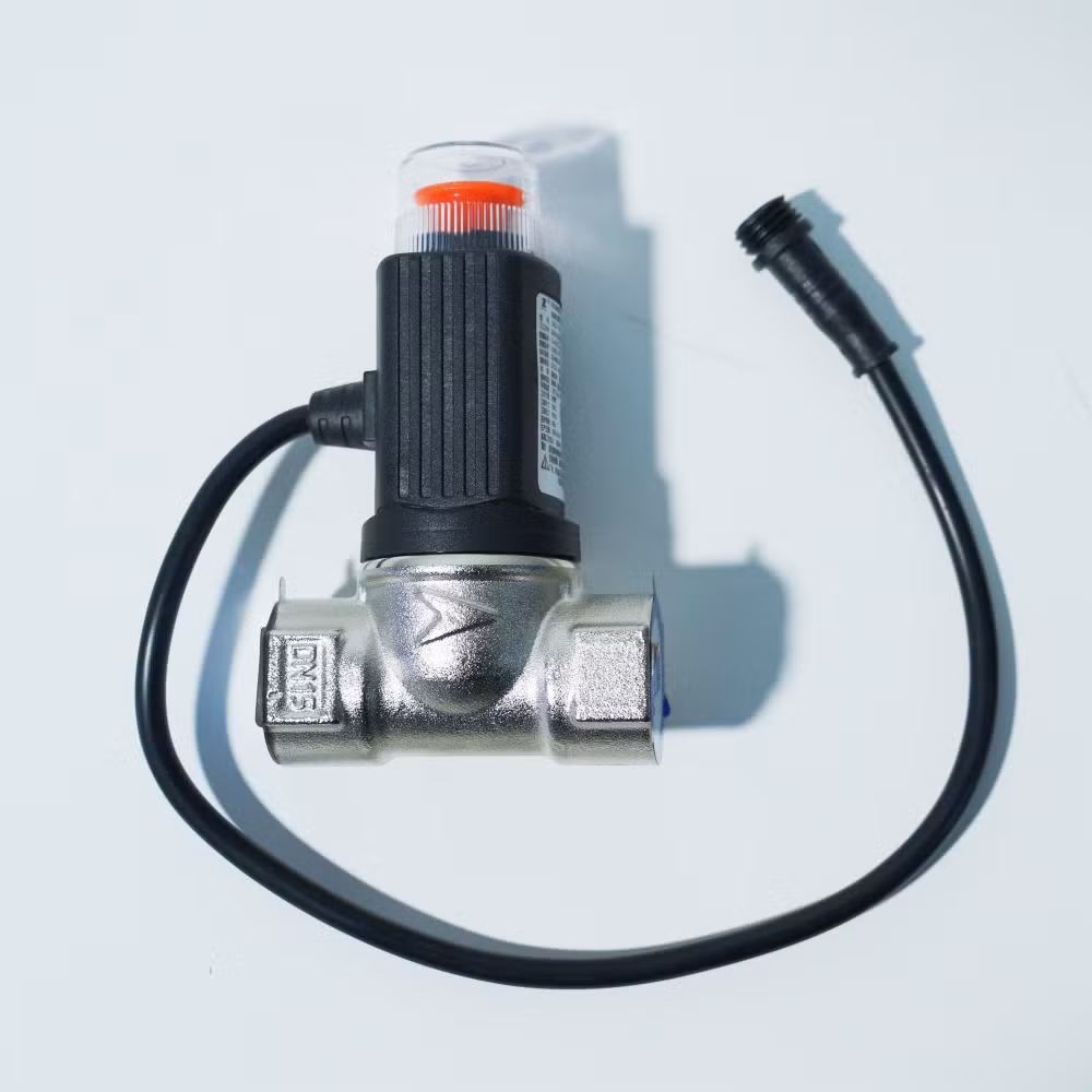 Drqf Series Household Electromagnetic Gas Emergency Shut-off Valve