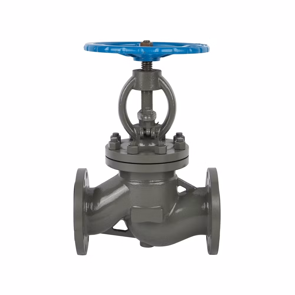 Corrosion Resistant 316 Stainless Steel Stop Shutoff Globe Valve for Petrochemical Applications