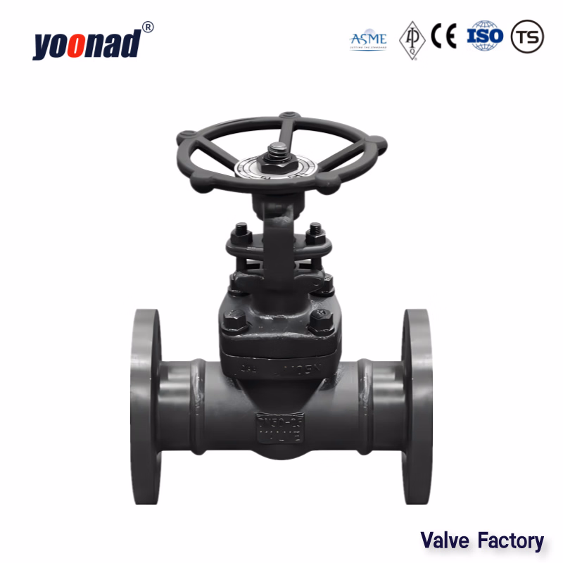 ANSI/CE/ISO/High Pressure High Temperature DN25/50/100/125/200/250 Forged Steel Globe Valve for Water Oil Gas