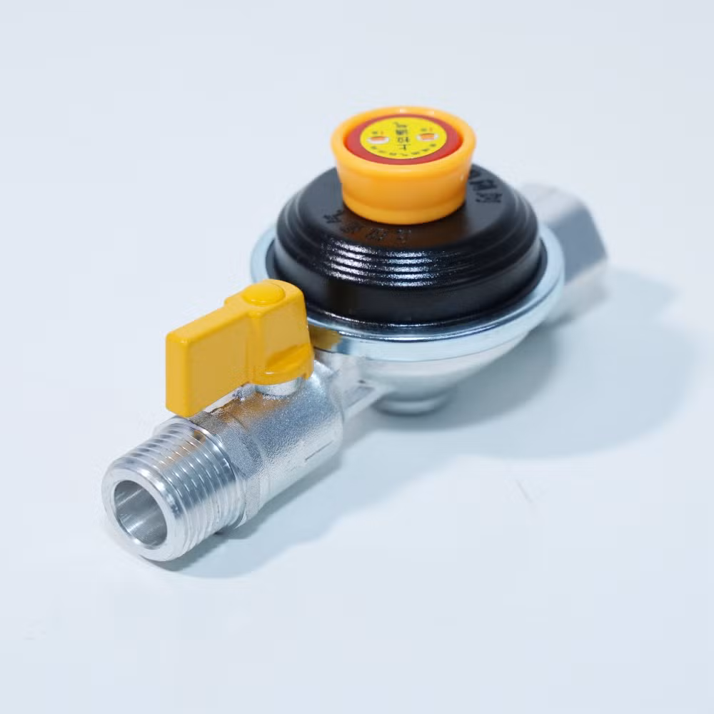 Zb50 Pipeline Gas Self-Closing Valve Gas Control Valve for Kitchen