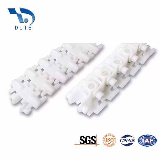 50b Tooth Plastic Conveyor Chain - Plastic Chain and Flexible Chain