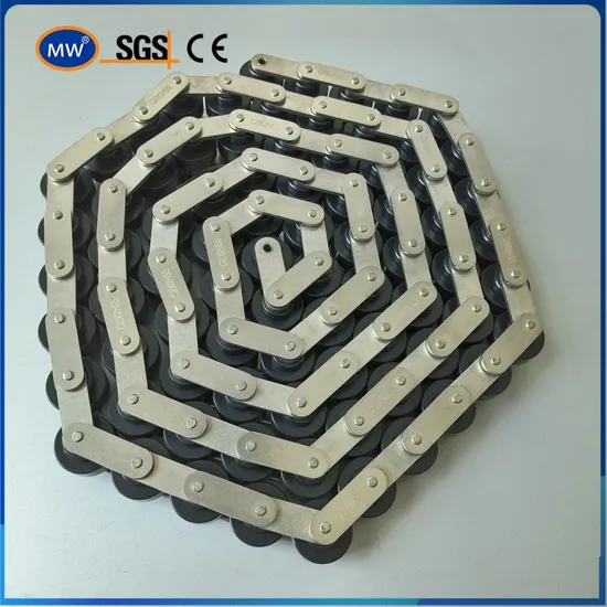 Stainless Steel Nylon Roller Double Plus Free Flow Conveyor Accumulation Roller Chain for Pallet Con