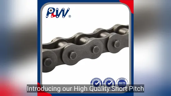 Premium Short Pitch Simplex Roller Chain for Motorcycles - High-Quality Chain and Simplex Roller Cha