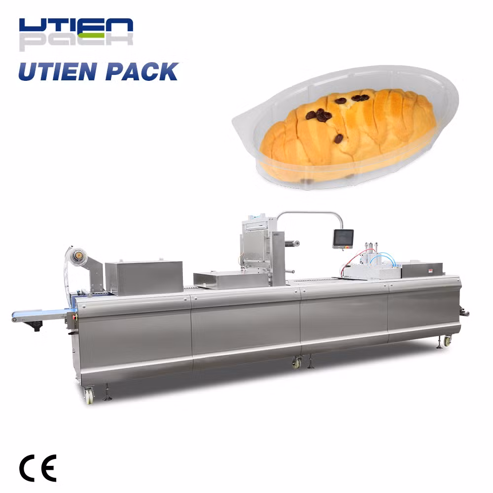 Automatic Bread Thermoforming Vacuum Map Machine (DZL)