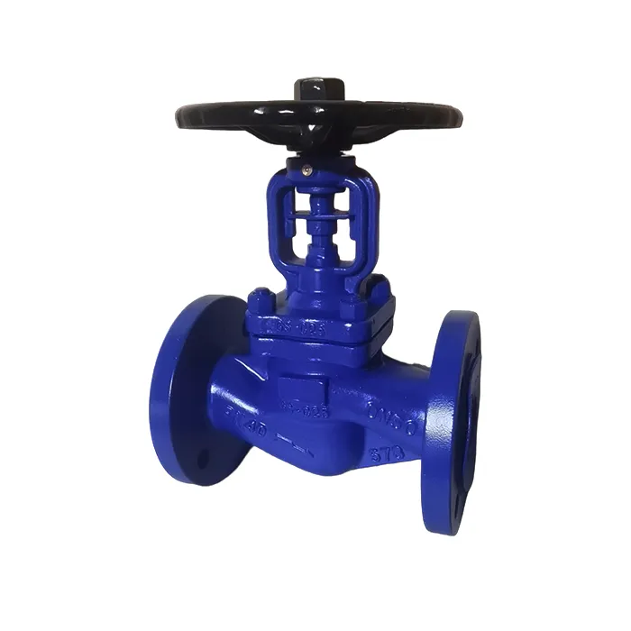 DN15 to DN500 Bellows Globe Valve Manufacturer & Factory - WKT VALVE