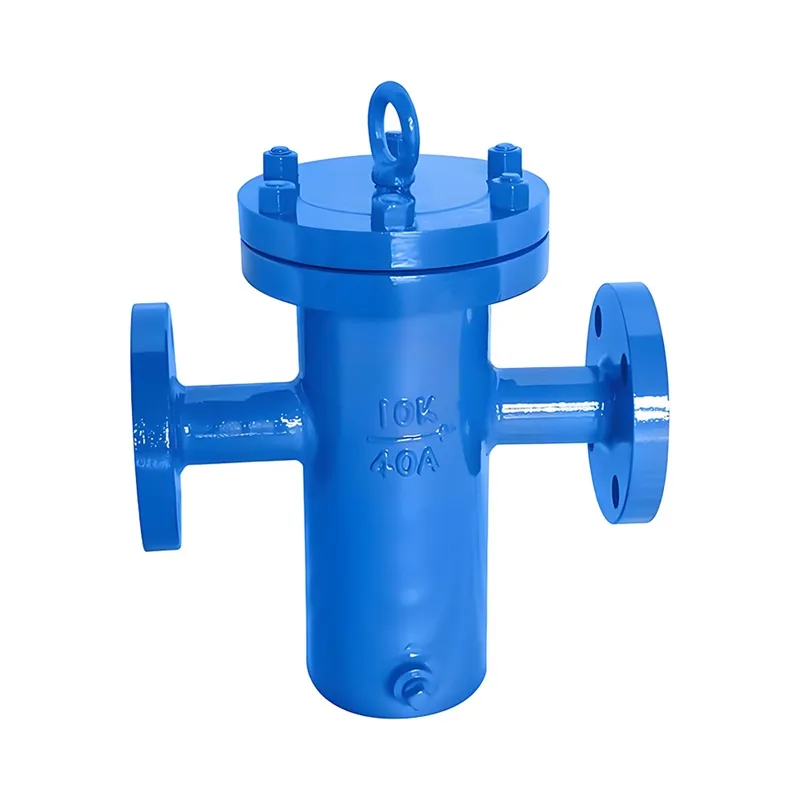 2 Inch Basket Strainer Stainless Steel CF8M JIS 10K RF Flange Manufacturer & Factory - WKT VALVE