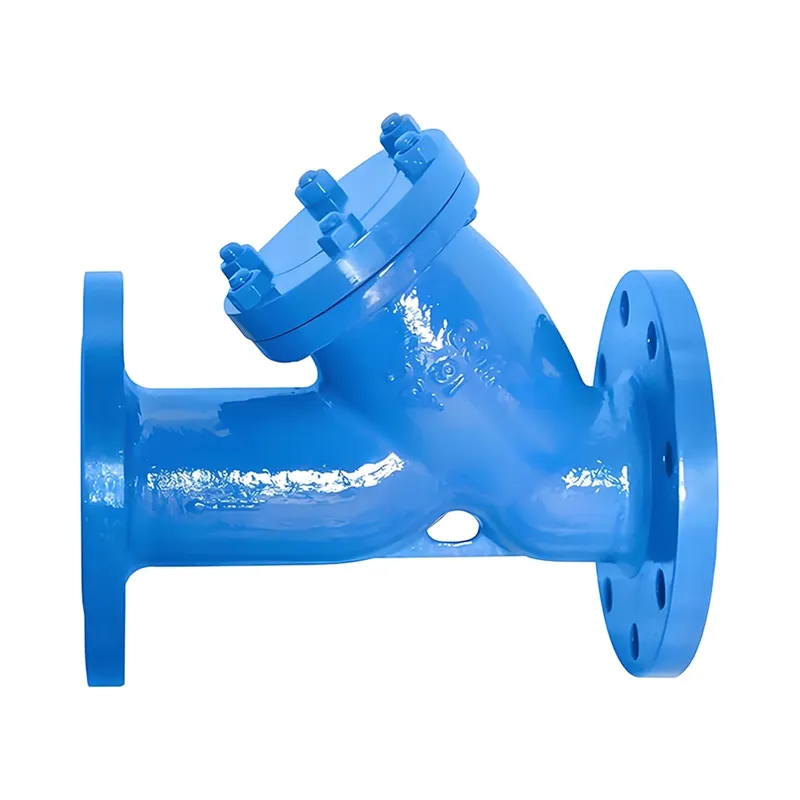 Carbon Steel WCB Y-type Strainer PN16 DN80 RF Flange Manufacturer & Factory - WKT VALVE