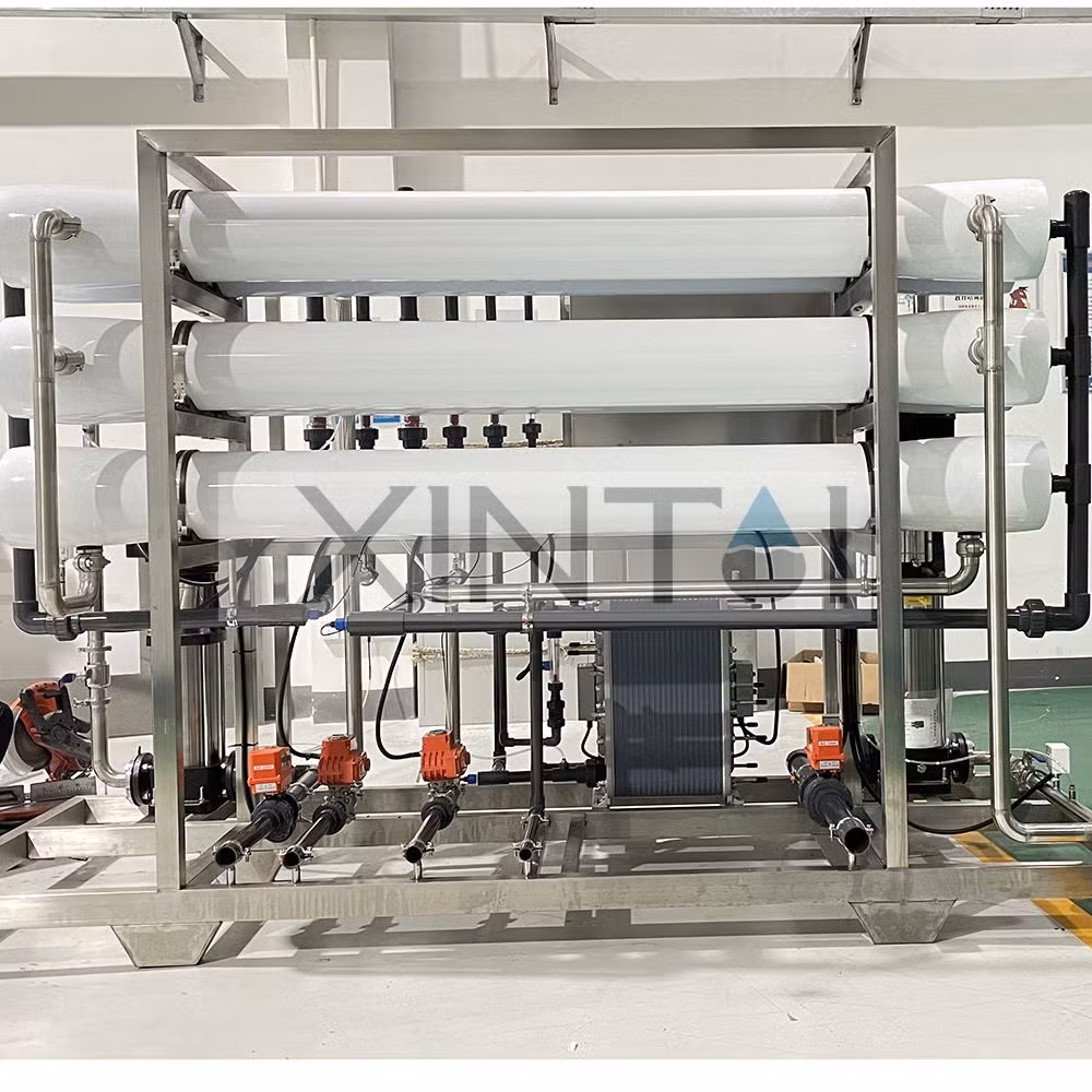 Excellent 4t/H Reverse Osmosis Water Filter Plant with Advanced EDI Water Purify Technology Deionized Ultra Pure Water Product ISO Certified